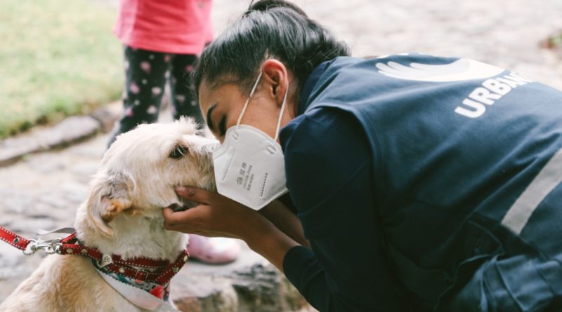 Respete Las 5 Libertades Y Asegure El Bienestar Animal – Quito Informa