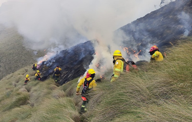 Bomberos Quito Controlan Incendio Forestal En El Sector De Papallacta ...