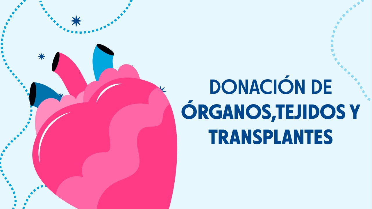 En Quito Inicia Campaña “juntos Por La Donación De órganos Tejidos Y