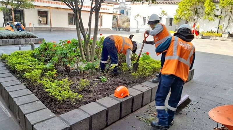 Más de 330 mil ejemplares entre árboles y plantas ornamentales