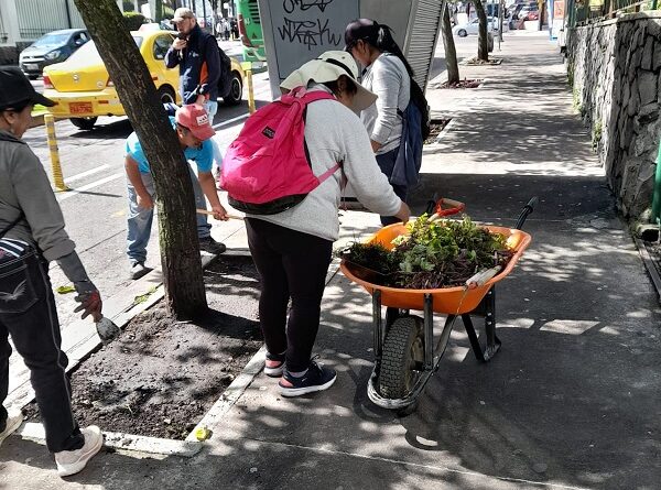 La Mariscal Se Cubre De Verde Con La Siembra De Nuevas Plantas Quito