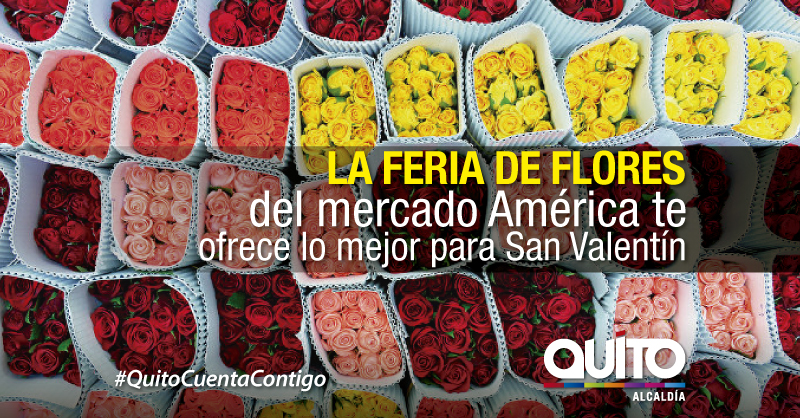 Mercado América se viste de flores en San Valentín – Quito Informa