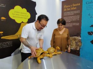 Disfrute del feriado en los museos de la ciudad