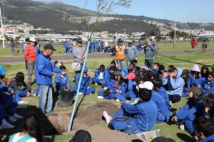 Un millón de árboles para Quito