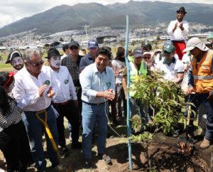 Un millón de árboles para Quito