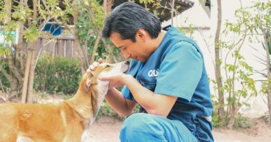 Día Mundial de los Animales