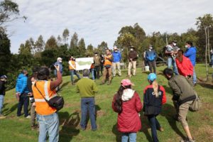 Arborización Parque Metropolitano del Sur