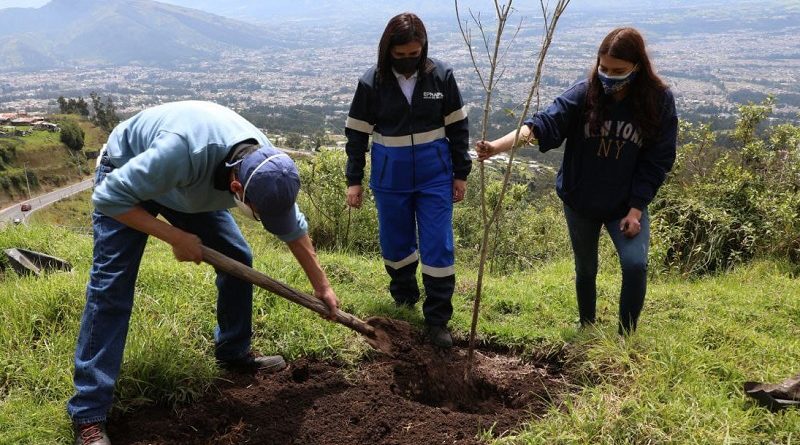 Arborización Parque Metropolitano del Sur