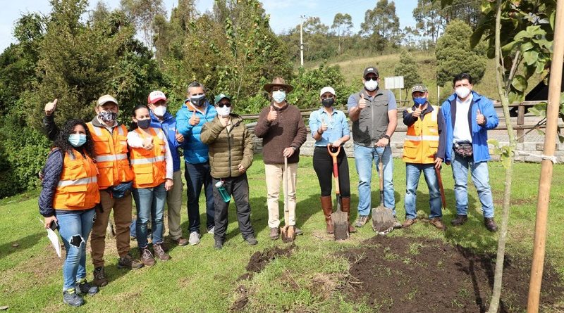 Arborización Parque Metropolitano del Sur