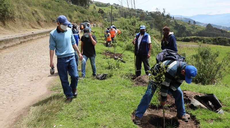 Arborización Parque Metropolitano del Sur