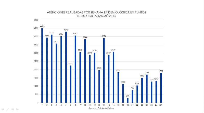 Visitas Brigadas de Salud