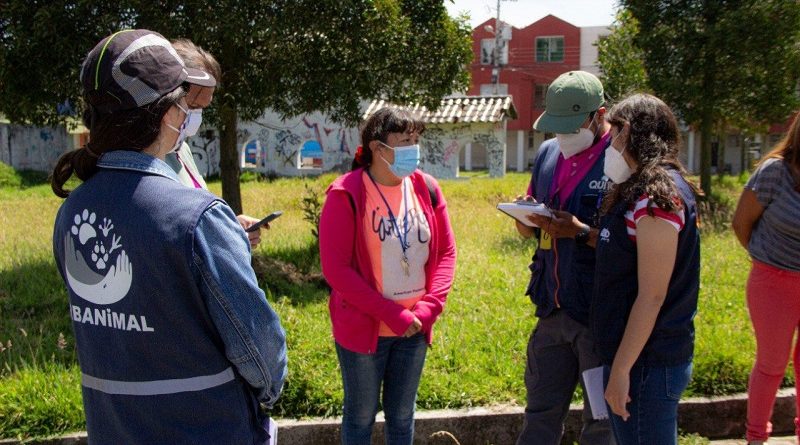 Muerte animales de compañía El Garrochal