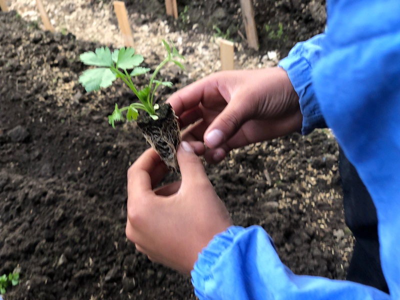 Niños Y Niñas Del CETI Hogar De Paz Cultivan Y Aprenden Sobre ...