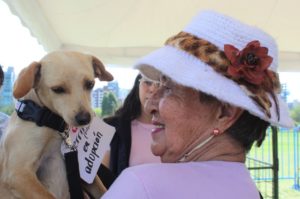 I Feria de Bienestar Animal ‘Adopta – Cuida – Esteriliza’ La Carolina