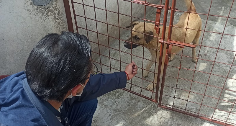 Denuncias UBA