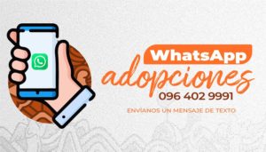 Adopción responsable UBA