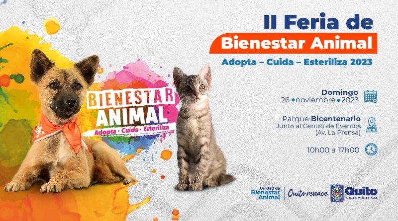 Gaby, una felina única en su especie  Instituto Distrital de Protección y  Bienestar Animal