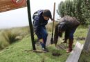 Quito más verde que nunca: este 24 noviembre, juntamos nuestras manos para una gran jornada de reforestación