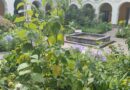 Asilvestrados: una muestra para conocer la riqueza vegetal de Quito