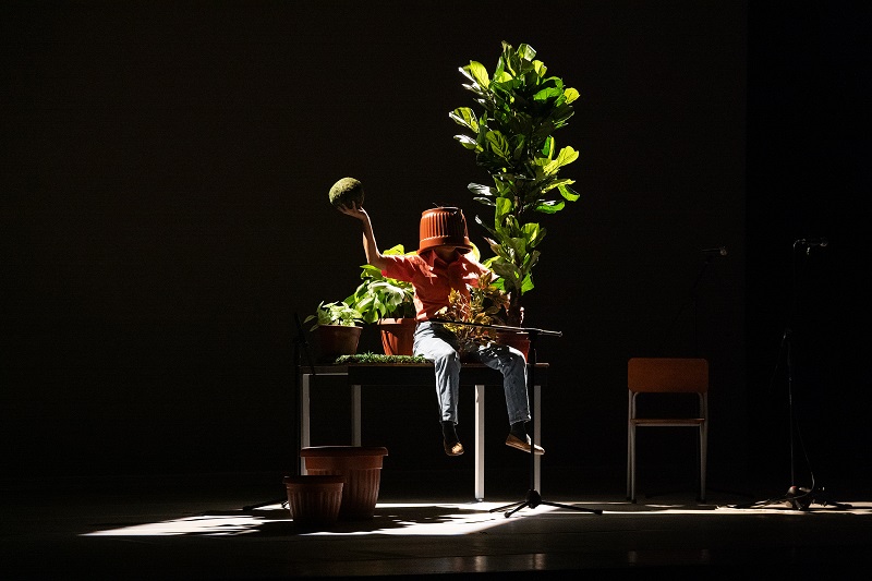 Sucre Nationwide Theater presents ‘Estado Vegetal’ on the 2024 Degree Competition