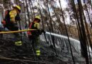 Vecinas y vecinos: vamos a una DoMinga para prevenir incendios