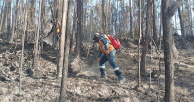 Incendio en el parque metropolitano Guangüiltagua está controlado