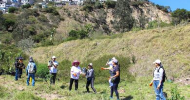 Un esfuerzo colectivo para regenerar nuestro patrimonio natural