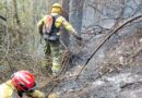 Ocho meses de prisión para el autor del incendio de Guápulo