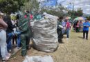 Reciclatón en Solanda: Este sábado forme parte de una iniciativa para promover el reciclaje y la conciencia ambiental