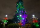 El árbol de Navidad vivo más alto de Latinoamérica está en Quito