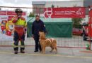 Bomberos Quito refuerza la cultura de prevención por el uso inadecuado de pirotecnia