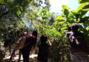 Museos de la Ciudad: desde un taller de fotografía naturalista a cortometrajes