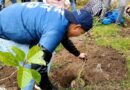 Proyecto «Aeropuerto Reforesta» suma voluntades y logros